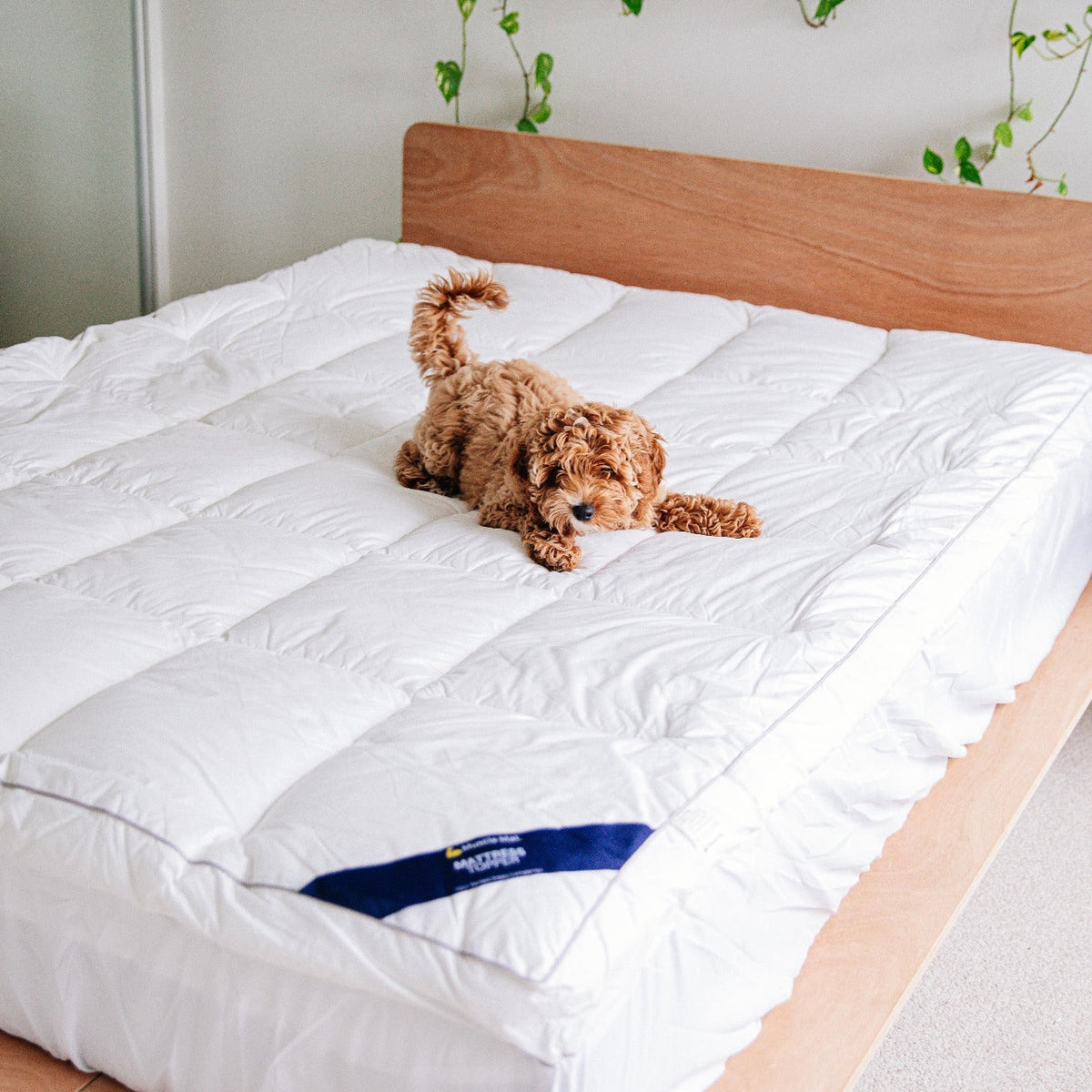 Muscle Mat Luxury Mattress Topper