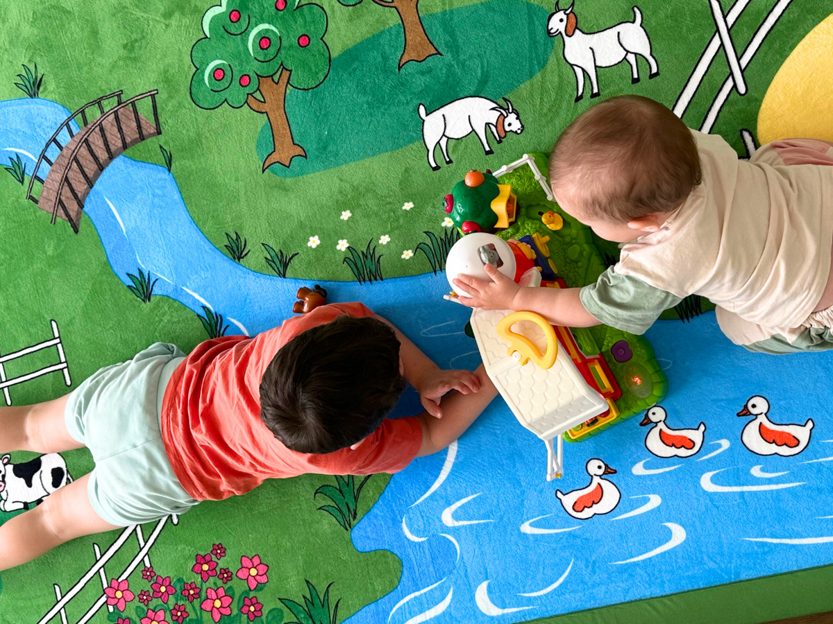 Farm Play Mat Relax Mat - 35mm Thick
